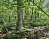 TBD Woodview Drive, Bruceton Mills, West Virginia 26525, 0 , 0 ,0,Lots/land,For Sale,Woodview,0,10166493