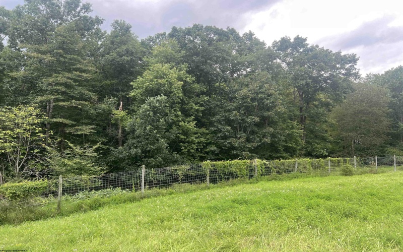 TBD Derico Road, Buckhannon, West Virginia 26201, 0 , 0 ,0,Lots/land,For Sale,Derico,0,10166495