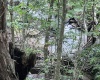 TBD Derico Road, Buckhannon, West Virginia 26201, 0 , 0 ,0,Lots/land,For Sale,Derico,0,10166495