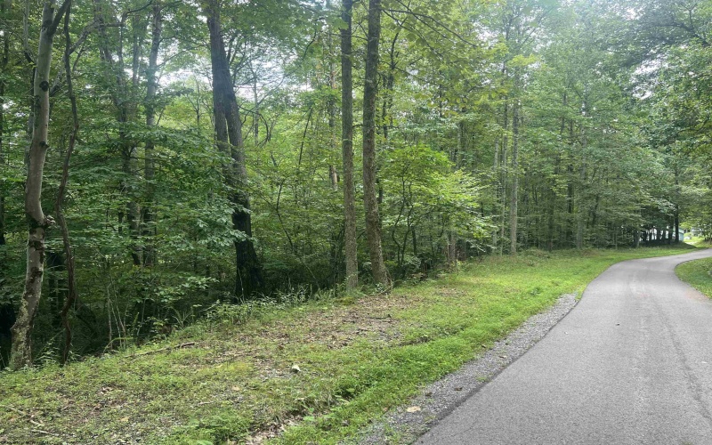 TBD Derico Road, Buckhannon, West Virginia 26201, 0 , 0 ,0,Lots/land,For Sale,Derico,0,10166495