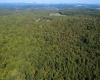 1261 Beaver Creek Drive, Bruceton Mills, West Virginia 26525, 0 , 0 ,0,Lots/land,For Sale,Beaver Creek,0,10166510 1261 Beaver Creek Drive, Bruceton Mills, West Virginia 26525, 0 , 0 ,0,Lots/land,For Sale,Beaver Creek,0,10166510