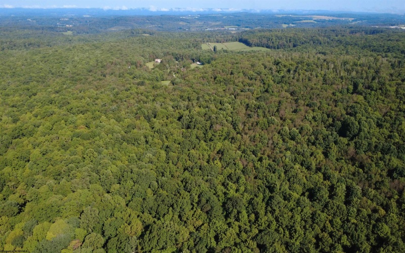 1261 Beaver Creek Drive, Bruceton Mills, West Virginia 26525, 0 , 0 ,0,Lots/land,For Sale,Beaver Creek,0,10166510 1261 Beaver Creek Drive, Bruceton Mills, West Virginia 26525, 0 , 0 ,0,Lots/land,For Sale,Beaver Creek,0,10166510
