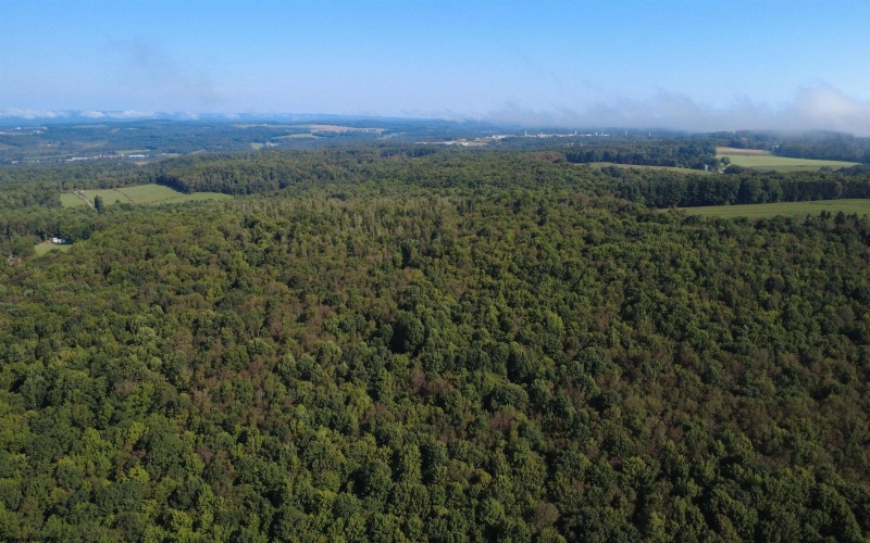 1261 Beaver Creek Drive, Bruceton Mills, West Virginia 26525, 0 , 0 ,0,Lots/land,For Sale,Beaver Creek,0,10166510 1261 Beaver Creek Drive, Bruceton Mills, West Virginia 26525, 0 , 0 ,0,Lots/land,For Sale,Beaver Creek,0,10166510