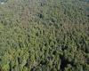 1261 Beaver Creek Drive, Bruceton Mills, West Virginia 26525, 0 , 0 ,0,Lots/land,For Sale,Beaver Creek,0,10166510 1261 Beaver Creek Drive, Bruceton Mills, West Virginia 26525, 0 , 0 ,0,Lots/land,For Sale,Beaver Creek,0,10166510