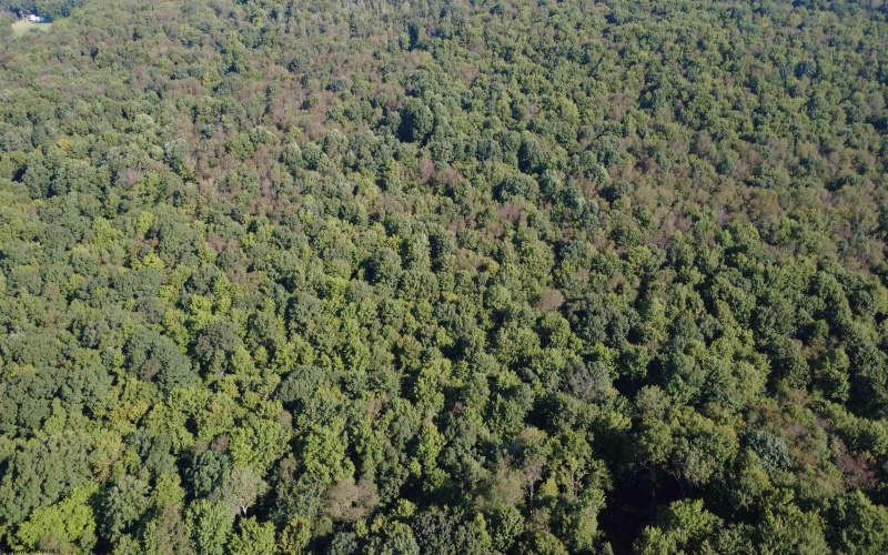 1261 Beaver Creek Drive, Bruceton Mills, West Virginia 26525, 0 , 0 ,0,Lots/land,For Sale,Beaver Creek,0,10166510 1261 Beaver Creek Drive, Bruceton Mills, West Virginia 26525, 0 , 0 ,0,Lots/land,For Sale,Beaver Creek,0,10166510