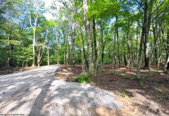 1261 Beaver Creek Drive, Bruceton Mills, West Virginia 26525, 0 , 0 ,0,Lots/land,For Sale,Beaver Creek,0,10166510