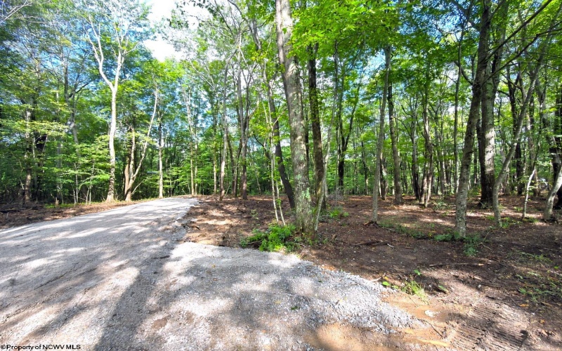 1261 Beaver Creek Drive, Bruceton Mills, West Virginia 26525, 0 , 0 ,0,Lots/land,For Sale,Beaver Creek,0,10166510 1261 Beaver Creek Drive, Bruceton Mills, West Virginia 26525, 0 , 0 ,0,Lots/land,For Sale,Beaver Creek,0,10166510