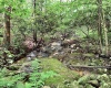 1261 Beaver Creek Drive, Bruceton Mills, West Virginia 26525, 0 , 0 ,0,Lots/land,For Sale,Beaver Creek,0,10166510 1261 Beaver Creek Drive, Bruceton Mills, West Virginia 26525, 0 , 0 ,0,Lots/land,For Sale,Beaver Creek,0,10166510