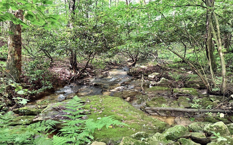 1261 Beaver Creek Drive, Bruceton Mills, West Virginia 26525, 0 , 0 ,0,Lots/land,For Sale,Beaver Creek,0,10166510 1261 Beaver Creek Drive, Bruceton Mills, West Virginia 26525, 0 , 0 ,0,Lots/land,For Sale,Beaver Creek,0,10166510