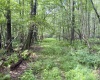 1261 Beaver Creek Drive, Bruceton Mills, West Virginia 26525, 0 , 0 ,0,Lots/land,For Sale,Beaver Creek,0,10166510 1261 Beaver Creek Drive, Bruceton Mills, West Virginia 26525, 0 , 0 ,0,Lots/land,For Sale,Beaver Creek,0,10166510