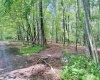 1261 Beaver Creek Drive, Bruceton Mills, West Virginia 26525, 0 , 0 ,0,Lots/land,For Sale,Beaver Creek,0,10166510 1261 Beaver Creek Drive, Bruceton Mills, West Virginia 26525, 0 , 0 ,0,Lots/land,For Sale,Beaver Creek,0,10166510