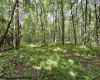1261 Beaver Creek Drive, Bruceton Mills, West Virginia 26525, 0 , 0 ,0,Lots/land,For Sale,Beaver Creek,0,10166510 1261 Beaver Creek Drive, Bruceton Mills, West Virginia 26525, 0 , 0 ,0,Lots/land,For Sale,Beaver Creek,0,10166510