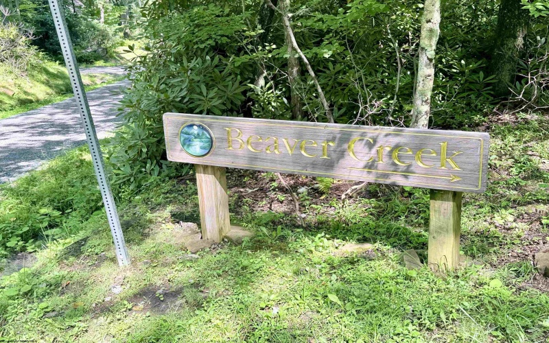 1261 Beaver Creek Drive, Bruceton Mills, West Virginia 26525, 0 , 0 ,0,Lots/land,For Sale,Beaver Creek,0,10166510 1261 Beaver Creek Drive, Bruceton Mills, West Virginia 26525, 0 , 0 ,0,Lots/land,For Sale,Beaver Creek,0,10166510