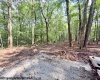 1261 Beaver Creek Drive, Bruceton Mills, West Virginia 26525, 0 , 0 ,0,Lots/land,For Sale,Beaver Creek,0,10166510 1261 Beaver Creek Drive, Bruceton Mills, West Virginia 26525, 0 , 0 ,0,Lots/land,For Sale,Beaver Creek,0,10166510