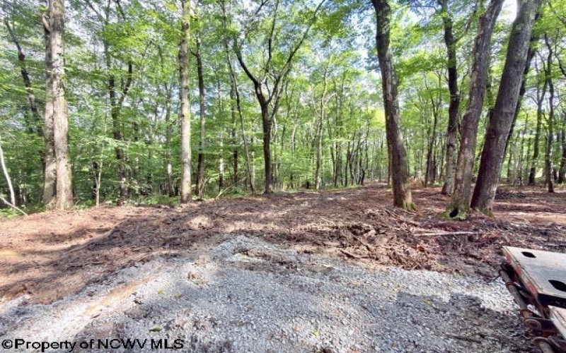 1261 Beaver Creek Drive, Bruceton Mills, West Virginia 26525, 0 , 0 ,0,Lots/land,For Sale,Beaver Creek,0,10166510 1261 Beaver Creek Drive, Bruceton Mills, West Virginia 26525, 0 , 0 ,0,Lots/land,For Sale,Beaver Creek,0,10166510