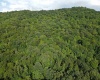 TBD Fallen Timber Road, Ireland, West Virginia 26376, 0 , 0 ,0,Lots/land,For Sale,Fallen Timber,0,10166513