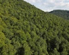 TBD Fallen Timber Road, Ireland, West Virginia 26376, 0 , 0 ,0,Lots/land,For Sale,Fallen Timber,0,10166513