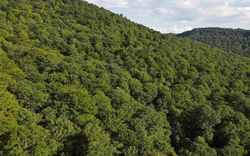 TBD Fallen Timber Road, Ireland, West Virginia 26376, 0 , 0 ,0,Lots/land,For Sale,Fallen Timber,0,10166513