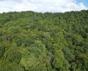 TBD Fallen Timber Road, Ireland, West Virginia 26376, 0 , 0 ,0,Lots/land,For Sale,Fallen Timber,0,10166513