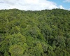 TBD Fallen Timber Road, Ireland, West Virginia 26376, 0 , 0 ,0,Lots/land,For Sale,Fallen Timber,0,10166513