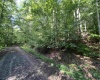 TBD Fallen Timber Road, Ireland, West Virginia 26376, 0 , 0 ,0,Lots/land,For Sale,Fallen Timber,0,10166513