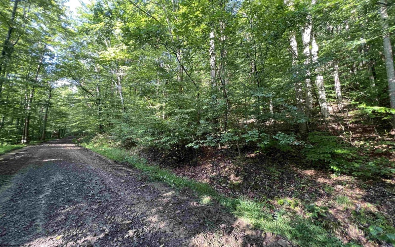 TBD Fallen Timber Road, Ireland, West Virginia 26376, 0 , 0 ,0,Lots/land,For Sale,Fallen Timber,0,10166513