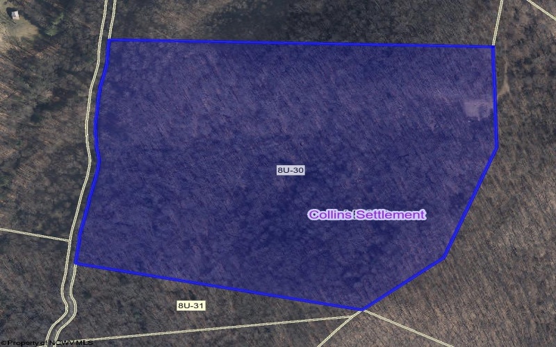 TBD Fallen Timber Road, Ireland, West Virginia 26376, 0 , 0 ,0,Lots/land,For Sale,Fallen Timber,0,10166513