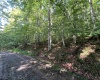 TBD Fallen Timber Road, Ireland, West Virginia 26376, 0 , 0 ,0,Lots/land,For Sale,Fallen Timber,0,10166513
