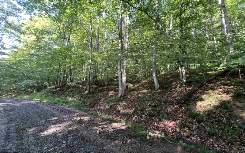 TBD Fallen Timber Road, Ireland, West Virginia 26376, 0 , 0 ,0,Lots/land,For Sale,Fallen Timber,0,10166513