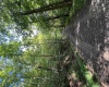 TBD Fallen Timber Road, Ireland, West Virginia 26376, 0 , 0 ,0,Lots/land,For Sale,Fallen Timber,0,10166513