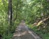 TBD Fallen Timber Road, Ireland, West Virginia 26376, 0 , 0 ,0,Lots/land,For Sale,Fallen Timber,0,10166513
