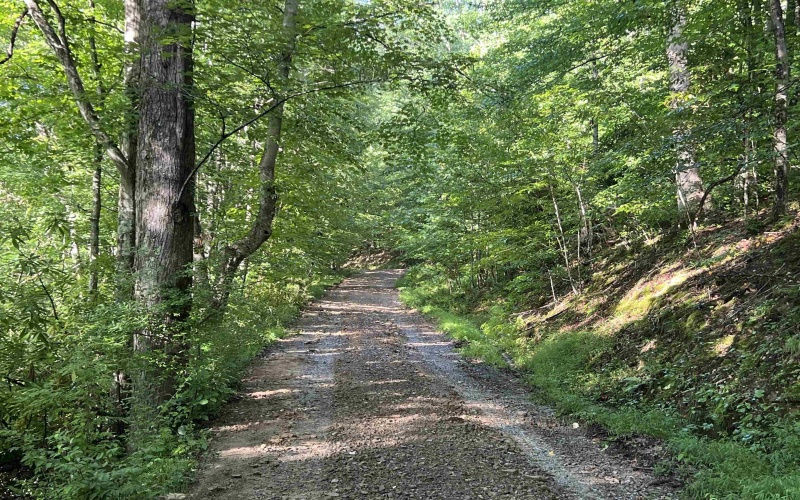 TBD Fallen Timber Road, Ireland, West Virginia 26376, 0 , 0 ,0,Lots/land,For Sale,Fallen Timber,0,10166513