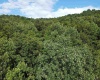TBD Fallen Timber Road, Ireland, West Virginia 26376, 0 , 0 ,0,Lots/land,For Sale,Fallen Timber,0,10166513