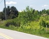 215 Courtland Road, Davis, West Virginia 26260, 0 , 0 ,0,Lots/land,For Sale,Courtland,0,10154416
