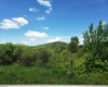 215 Courtland Road, Davis, West Virginia 26260, 0 , 0 ,0,Lots/land,For Sale,Courtland,0,10154416