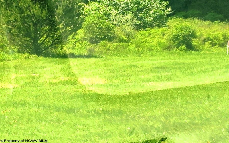 215 Courtland Road, Davis, West Virginia 26260, 0 , 0 ,0,Lots/land,For Sale,Courtland,0,10154416