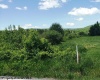 215 Courtland Road, Davis, West Virginia 26260, 0 , 0 ,0,Lots/land,For Sale,Courtland,0,10154416