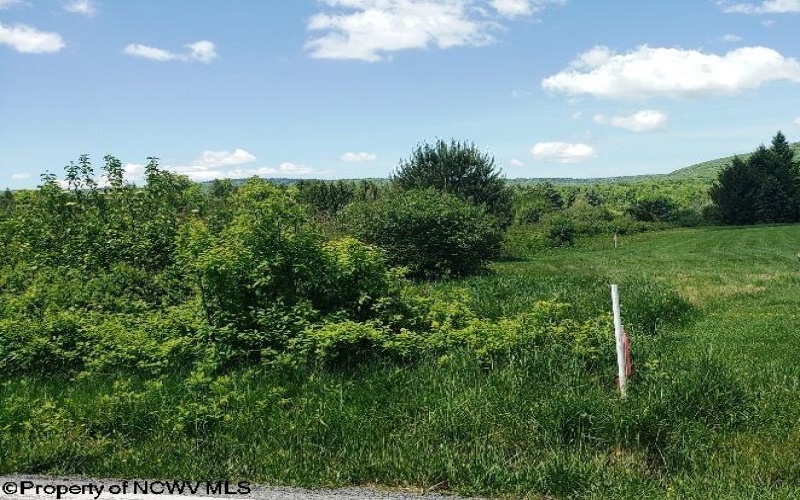 215 Courtland Road, Davis, West Virginia 26260, 0 , 0 ,0,Lots/land,For Sale,Courtland,0,10154416