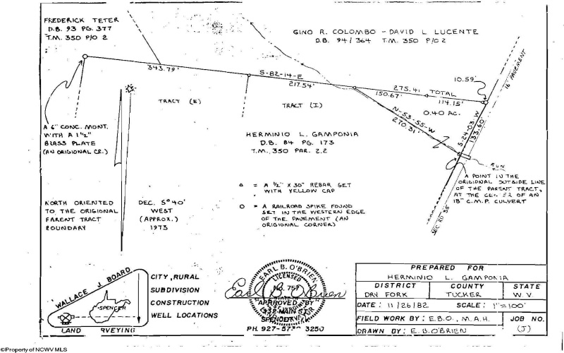 215 Courtland Road, Davis, West Virginia 26260, 0 , 0 ,0,Lots/land,For Sale,Courtland,0,10154416