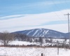 215 Courtland Road, Davis, West Virginia 26260, 0 , 0 ,0,Lots/land,For Sale,Courtland,0,10154416
