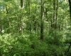 Lot 1 Crim Avenue, Belington, West Virginia 26250, 0 , 0 ,0,Lots/land,For Sale,Crim,0,10166524