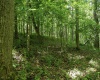 Lot 1 Crim Avenue, Belington, West Virginia 26250, 0 , 0 ,0,Lots/land,For Sale,Crim,0,10166524