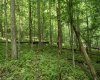 Lot 1 Crim Avenue, Belington, West Virginia 26250, 0 , 0 ,0,Lots/land,For Sale,Crim,0,10166524