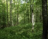 Lot 1 Crim Avenue, Belington, West Virginia 26250, 0 , 0 ,0,Lots/land,For Sale,Crim,0,10166524