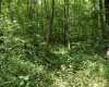 Lot 1 Crim Avenue, Belington, West Virginia 26250, 0 , 0 ,0,Lots/land,For Sale,Crim,0,10166524