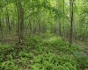 Lot 1 Crim Avenue, Belington, West Virginia 26250, 0 , 0 ,0,Lots/land,For Sale,Crim,0,10166524