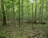 Lot 1 Crim Avenue, Belington, West Virginia 26250, 0 , 0 ,0,Lots/land,For Sale,Crim,0,10166524