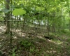 Lot 1 Crim Avenue, Belington, West Virginia 26250, 0 , 0 ,0,Lots/land,For Sale,Crim,0,10166524