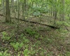 Lot 1 Crim Avenue, Belington, West Virginia 26250, 0 , 0 ,0,Lots/land,For Sale,Crim,0,10166524