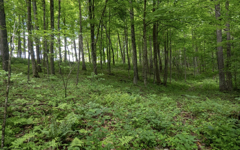 Lot 1 Crim Avenue, Belington, West Virginia 26250, 0 , 0 ,0,Lots/land,For Sale,Crim,0,10166524